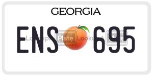 ENS695  license plate in GA