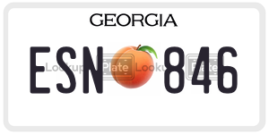 ESN846 license plate in Georgia