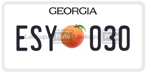 ESY030 license plate in Georgia