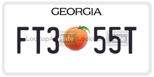 FT355T  license plate in GA