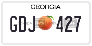 GDJ427  license plate in GA