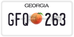 GFQ263 license plate in Georgia