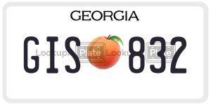 GIS832  license plate in GA