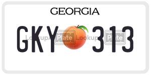 GKY313  license plate in GA