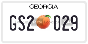 GS2029  license plate in GA