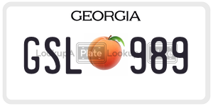 GSL989  license plate in GA