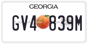 GV4839M  license plate in GA