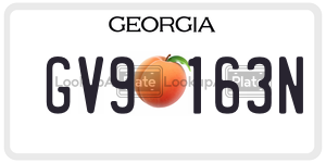 GV9163N  license plate in GA
