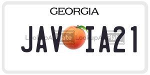 JAVIA21  license plate in GA