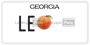 LE  license plate in GA