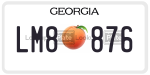 LM8876  license plate in GA