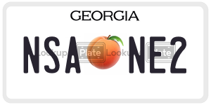NSANE2  license plate in GA