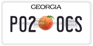 P020CS license plate in Georgia