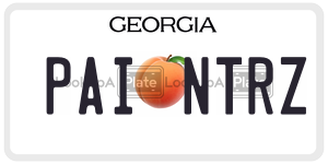 PAINTRZ license plate in Georgia