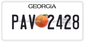 PAV2428  license plate in GA