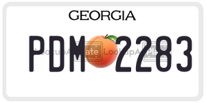 PDM2283  license plate in GA