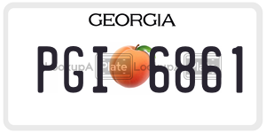 PGI6861  license plate in GA
