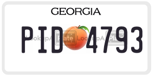 PID4793  license plate in GA