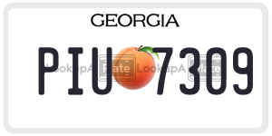 PIU7309  license plate in GA