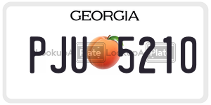 PJU5210 license plate in Georgia