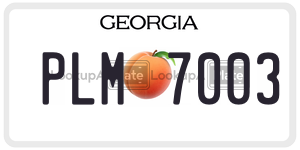 PLM7003 license plate in Georgia