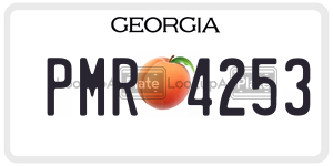 PMR4253 license plate in Georgia