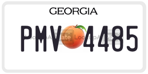 PMV4485 license plate in Georgia