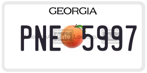 PNE5997  license plate in GA