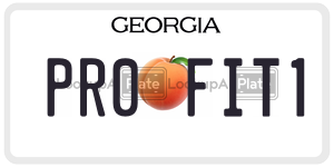 PR0FIT1 license plate in Georgia