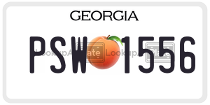 PSW1556  license plate in GA