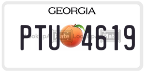 PTU4619  license plate in GA