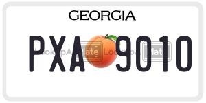 PXA9010  license plate in GA