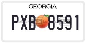 PXB8591  license plate in GA