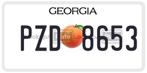 PZD8653 license plate in Georgia