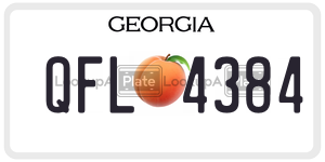 QFL4384 license plate in Georgia