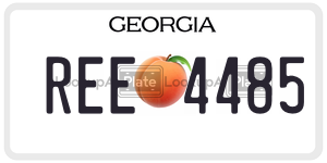 REE4485 license plate in Georgia