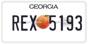 REX5193 license plate in Georgia