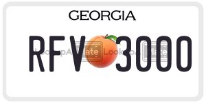 RFV3000 license plate in Georgia