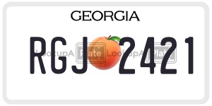RGJ2421  license plate in GA