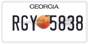 RGY5838 license plate in Georgia