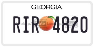 RIR4820 license plate in Georgia