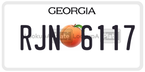 RJN6117  license plate in GA