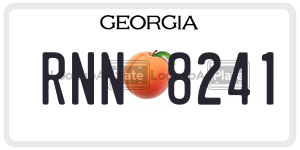 RNN8241  license plate in GA