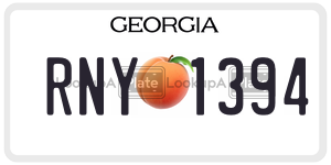 RNY1394  license plate in GA