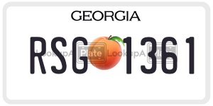 RSG1361 license plate in Georgia