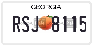 RSJ8115  license plate in GA