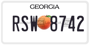 RSW8742 license plate in Georgia