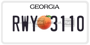 RWY3110  license plate in GA