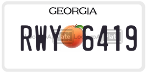 RWY6419  license plate in GA
