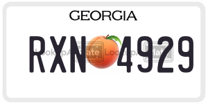RXN4929  license plate in GA